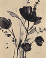 Image Not Available